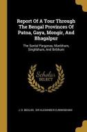Report Of A Tour Through The Bengal Provinces Of Patna, Gaya, Mongir, And Bhagalpur: The Santal Parganas, Manbhum, Singh di J. D. Beglar edito da WENTWORTH PR