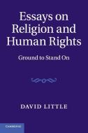 Essays on Religion and Human Rights di David Little edito da Cambridge University Press