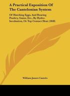 A   Practical Exposition of the Cantelonian System: Of Hatching Eggs, and Rearing Poultry, Game, Etc., by Hydro-Incubation, or Top Contact Heat (1848) di William James Cantelo edito da Kessinger Publishing