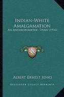 Indian-White Amalgamation: An Anthropometric Study (1916) di Albert Ernest Jenks edito da Kessinger Publishing