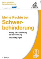 Meine Rechte bei Schwerbehinderung di Werner Keggenhoff, Willi Tappert edito da Beck C. H.