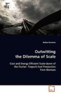 Outwitting the Dilemma of Scale di Stefan Fürnsinn edito da VDM Verlag Dr. Müller e.K.