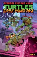 Teenage Mutant Ninja Turtles: Turtle Power Pack, Vol. 1 di Landry Q. Walker, Dean Clarrain edito da IDEA & DESIGN WORKS LLC