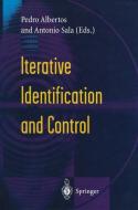 Iterative Identification and Control edito da Springer London