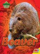 Beaver di Blaine Wiseman edito da AV2 BY WEIGL