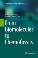 From Biomolecules To Chemofossils di Jan Schwarzbauer, Branimir Jovancicevic edito da Springer International Publishing Ag