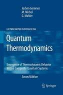 Quantum Thermodynamics di Jochen Gemmer, Günter Mahler, M. Michel edito da Springer Berlin Heidelberg