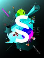 Smidswater: Strategy, Concept, Design edito da Bis Publishers