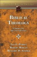 Biblical Theology di Leo G Perdue, Robert Morgan, Benjamin D Sommer edito da Abingdon Press