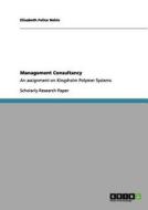 Management Consultancy di Elisabeth Felice Nehls edito da GRIN Publishing
