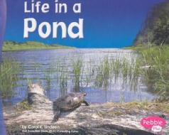 Life in a Pond di Carol K. Lindeen edito da Capstone