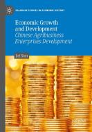 ECONOMIC GROWTH & DEVELOPMENT di LEI SUN edito da SPRINGER