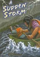 A Sudden Storm di Dennis Fertig edito da Steck-Vaughn