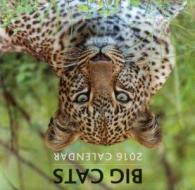 Big Cats 2016 di Peony Press edito da Anness Publishing