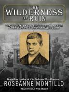 The Wilderness of Ruin: A Tale of Madness, Fire, and the Hunt for America's Youngest Serial Killer di Roseanne Montillo edito da Tantor Audio