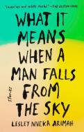 What It Means When a Man Falls from the Sky: Stories di Lesley Nneka Arimah edito da RIVERHEAD