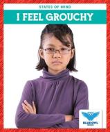 I Feel Grouchy di Stephanie Finne edito da BLUE OWL BOOKS