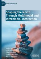 Shaping The North Through Multimodal And Intermedial Interaction edito da Springer Nature Switzerland AG
