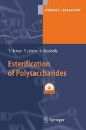 Esterification of Polysaccharides di Thomas Heinze, T. Liebert, A. Koschella edito da Springer-Verlag GmbH