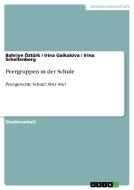 Peergruppen in der Schule di Irina Gaikalova, Irina Schellenberg, Bahriye Öztürk edito da GRIN Publishing