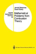 Mathematical Problems from Combustion Theory di Jerrold Bebernes, David Eberly edito da Springer New York
