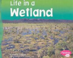 Life in a Wetland di Carol K. Lindeen edito da Pebble Plus