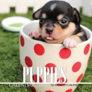 Puppies Calendar 2016: 16 Month Calendar di Jack Smith edito da Createspace