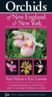 Orchids of New England & New York di Tom Nelson edito da KOLLATH STENSAAS PUB