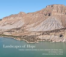 Landscapes of Hope di Stephen E Strom edito da George F Thompson Publishing