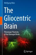The Gliocentric Brain di Wolfgang Walz edito da Springer International Publishing