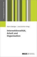 Intersektionalität, Arbeit und Organisation edito da Juventa Verlag GmbH