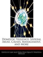 Domestic Violence: Spousal Abuse, Causes, Management, and More di Gaby Alez edito da WEBSTER S DIGITAL SERV S