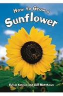 Rigby Literacy by Design: Big Book Grade 1 How to Grow a Sunflower di Various, Rigby edito da Rigby