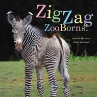 Zigzag Zooborns!: Zoo Baby Colors and Patterns di Andrew Bleiman, Chris Eastland edito da BEACH LANE BOOKS