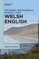 Welsh English di Heli Paulasto, Rob Penhallurick, Benjamin Jones edito da WALTER DE GRUYTER INC