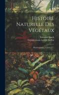 Histoire Naturelle Des Végétaux: Phanérogames, Volume 11... di Edouard Spach edito da LEGARE STREET PR