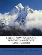 Select New York. One Hundred Albertype I edito da Nabu Press