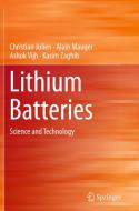 Lithium Batteries di Christian Julien, Alain Mauger, Ashok Vijh, Karim Zaghib edito da Springer-Verlag GmbH