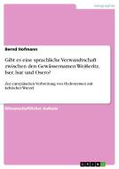 Gibt es eine sprachliche Verwandtschaft zwischen den Gewässernamen Weißeritz, Iser, Isar und Osero? di Bernd Hofmann edito da GRIN Publishing