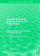 Household Energy and the Poor in the Third World di Elizabeth Cecelski, Joy Dunkerley, William Ramsay edito da Taylor & Francis Ltd