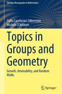 Topics in Groups and Geometry di Tullio Ceccherini-Silberstein, Michele D'Adderio edito da Springer International Publishing