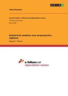Endotrivial modules over preprojective algebras di Jakob Bongartz edito da GRIN Publishing