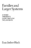 Families and Larger Systems di Evan Imber-Black edito da Guilford Publications