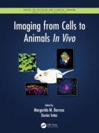 Imaging From Cells To Animals In Vivo di Margarida M. Barroso, Xavier Intes edito da Taylor & Francis Ltd
