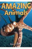Rigby Literacy by Design: Big Book Grade 1 Amazing Animals di Various, Drew edito da Rigby