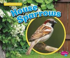 House Sparrows di Lisa J. Amstutz edito da CAPSTONE PR