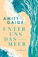 Unter uns das Meer di Amity Gaige edito da Eichborn Verlag