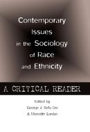 Contemporary Issues in the Sociology of Race and Ethnicity edito da Lang, Peter