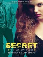 Secret di Brigid Kemmerer edito da Tantor Audio