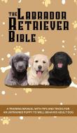 The Labrador Retriever Bible - A Training Manual With Tips and Tricks For An Untrained Puppy To Well Behaved Adult Dog di Ashley Pearson edito da Alex Gibbons